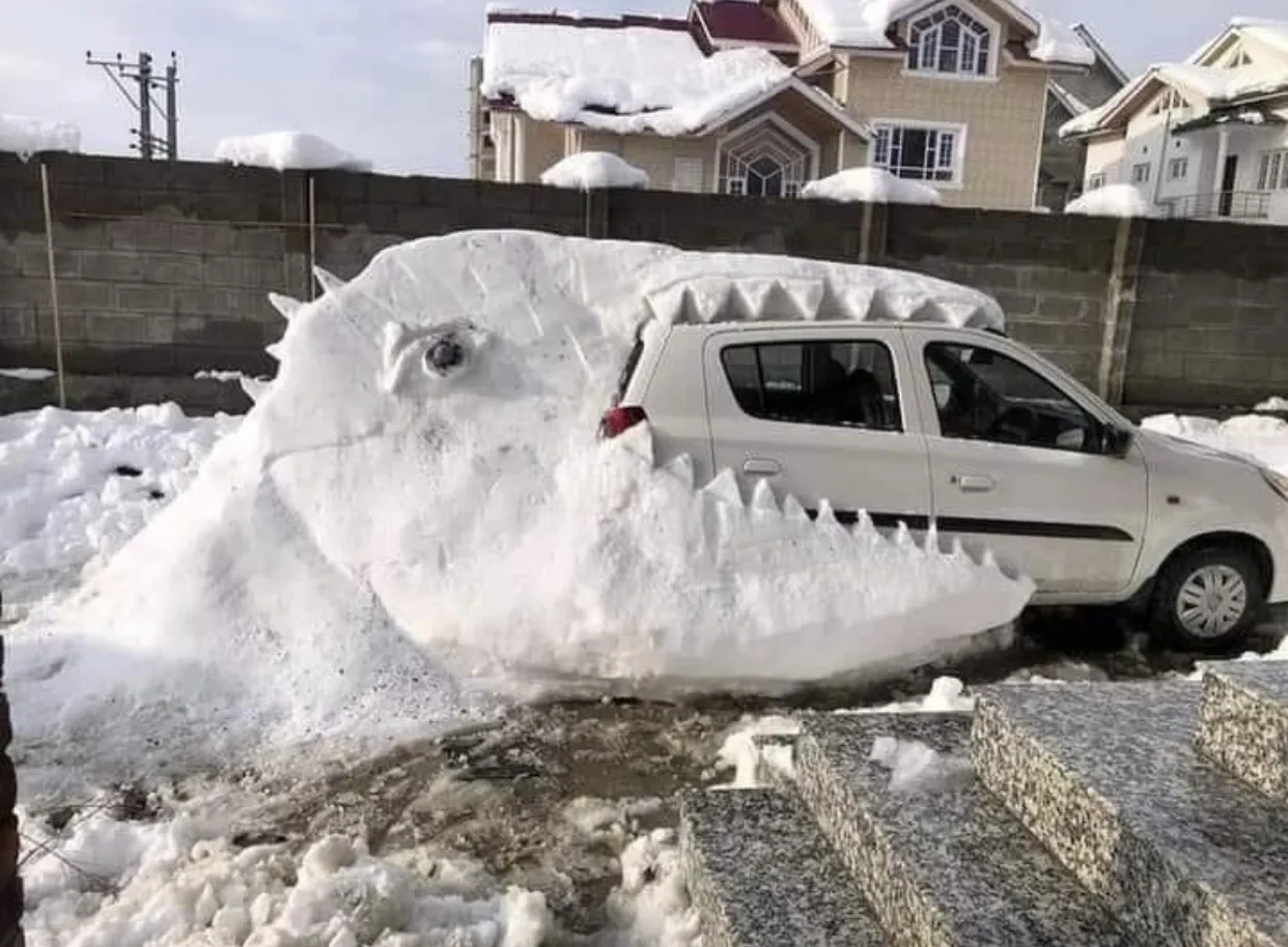 What about Ex assemblies?